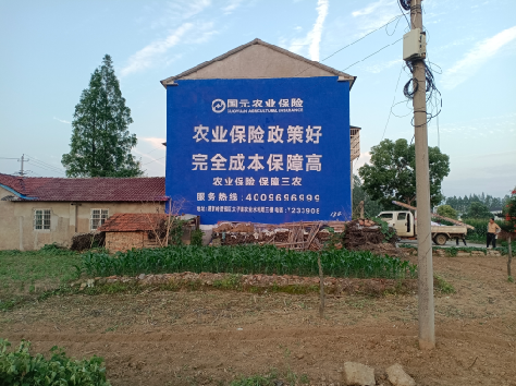 施秉墙体广告的优劣势你知道吗？